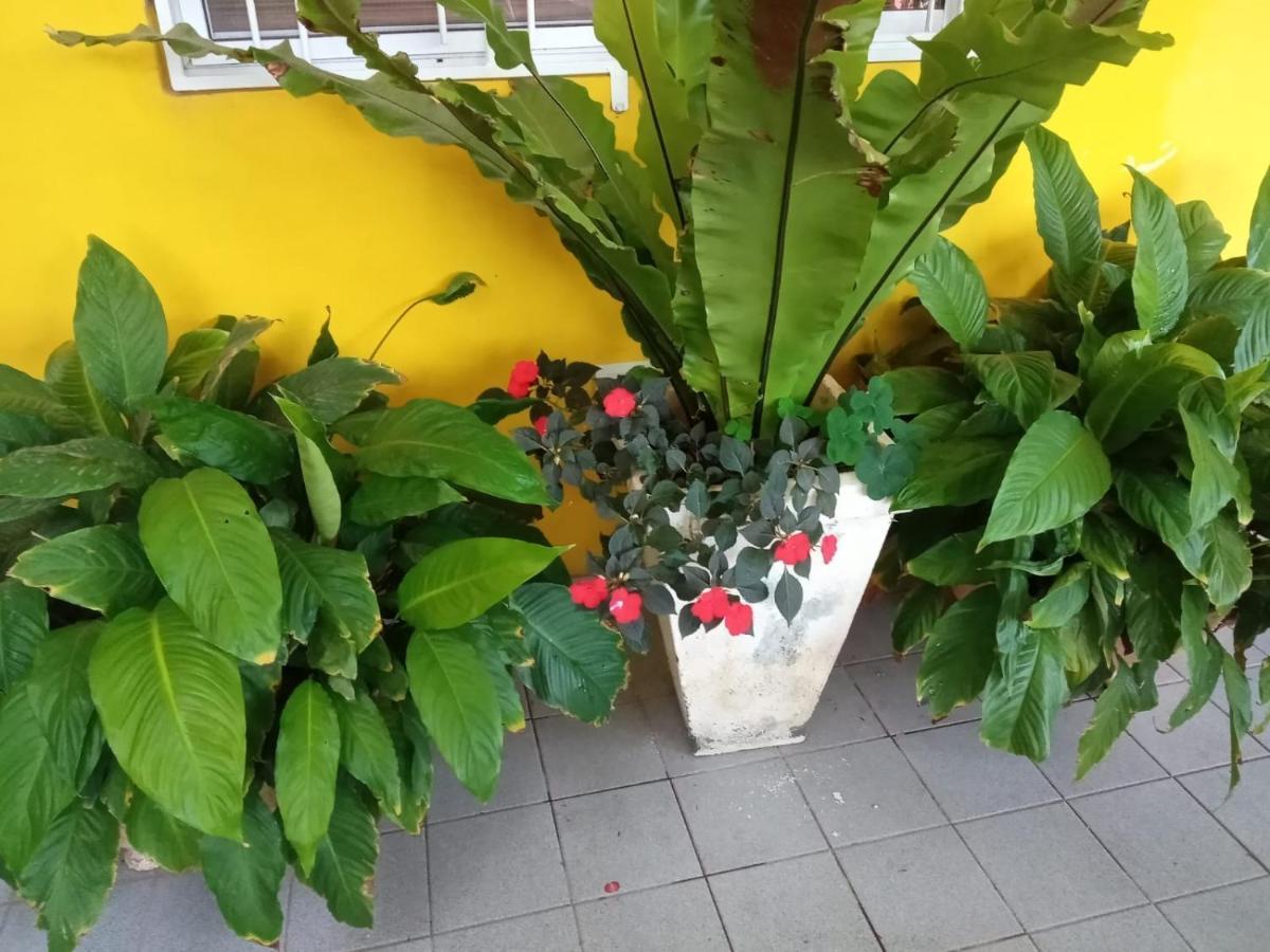 Apartamento Raiz Del Cielo, Entre 2 Jardines De Ensueño *