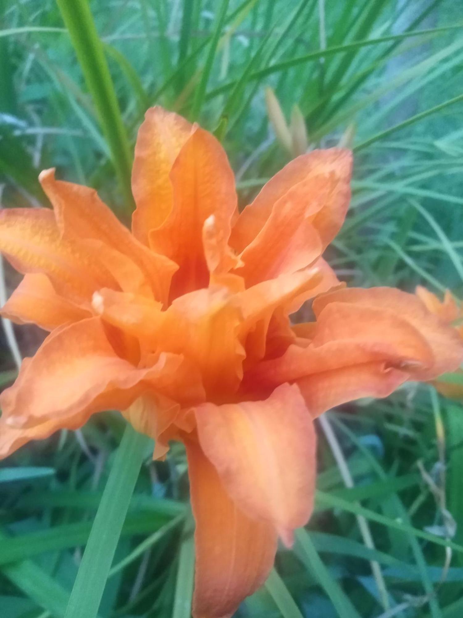 Apartamento Raiz Del Cielo, Entre 2 Jardines De Ensueño
