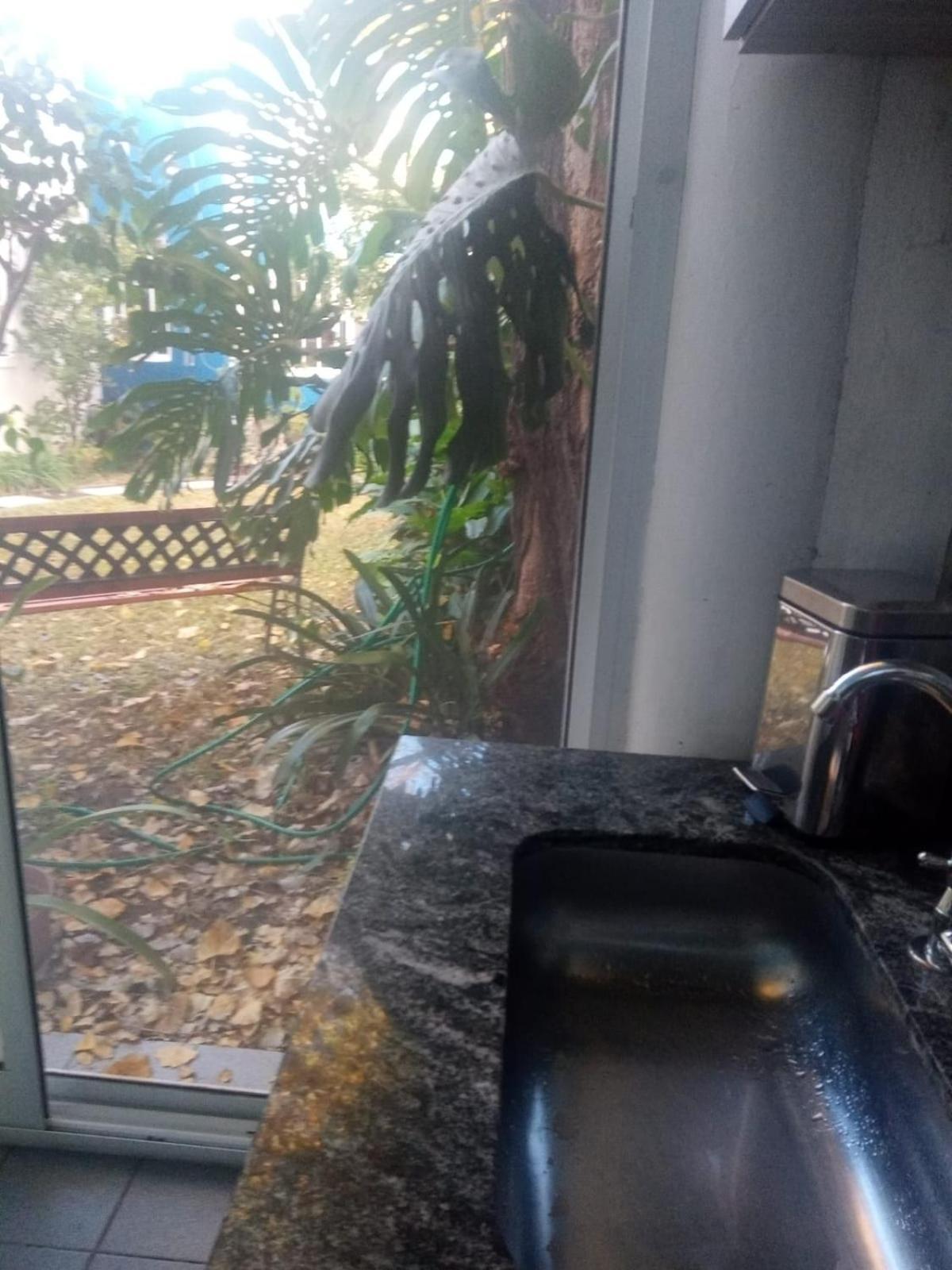 Raiz Del Cielo, Entre 2 Jardines De Ensueño Apartamento *