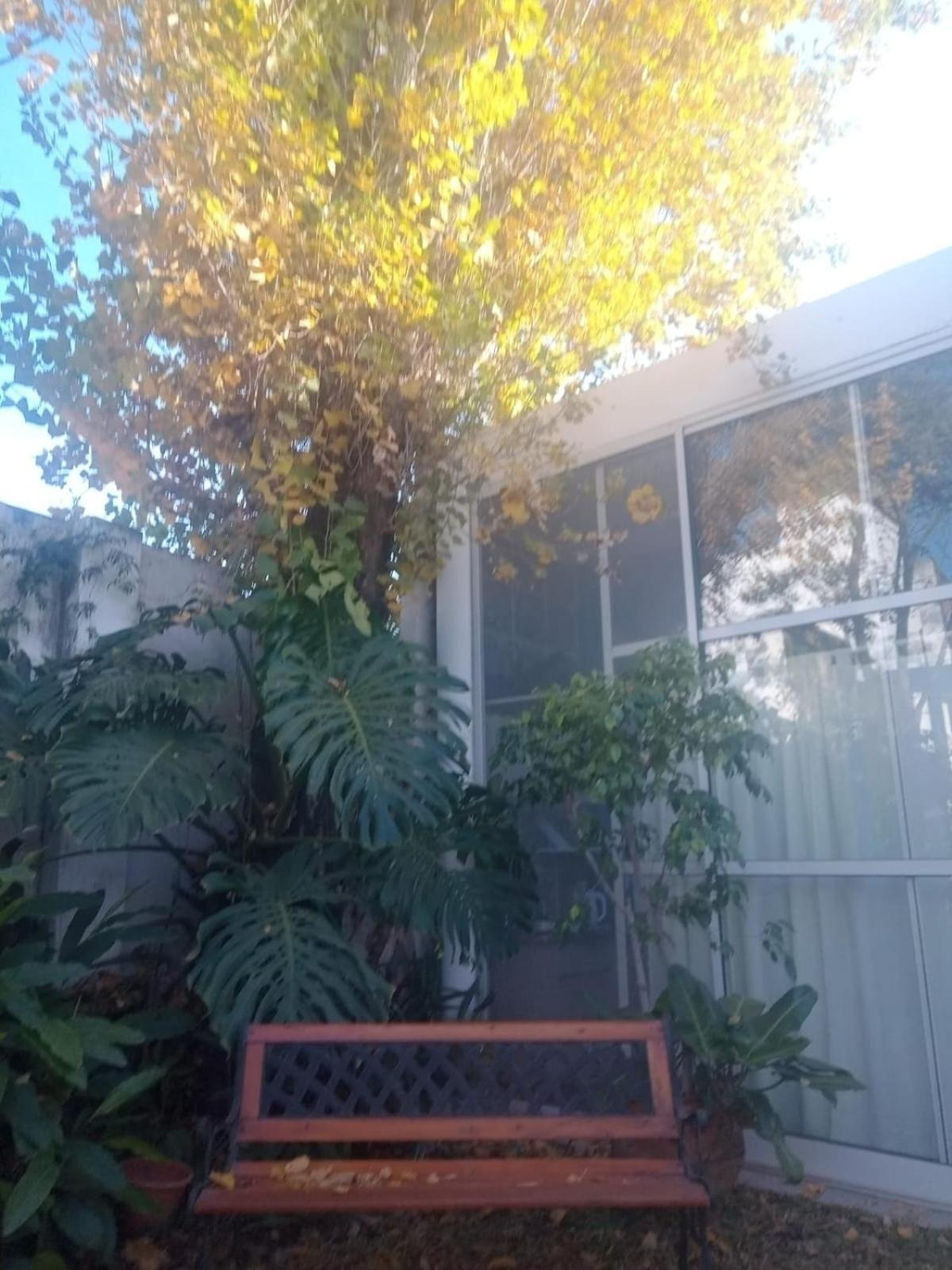 Apartamento Raiz Del Cielo, Entre 2 Jardines De Ensueño Córdoba