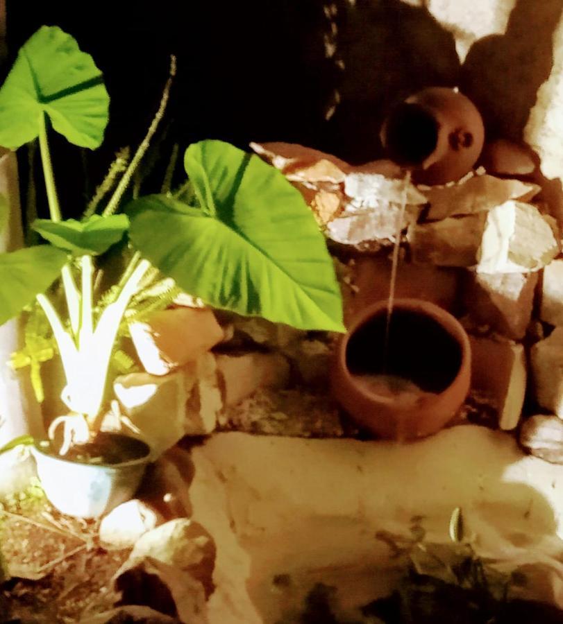 Raiz Del Cielo, Entre 2 Jardines De Ensueno *