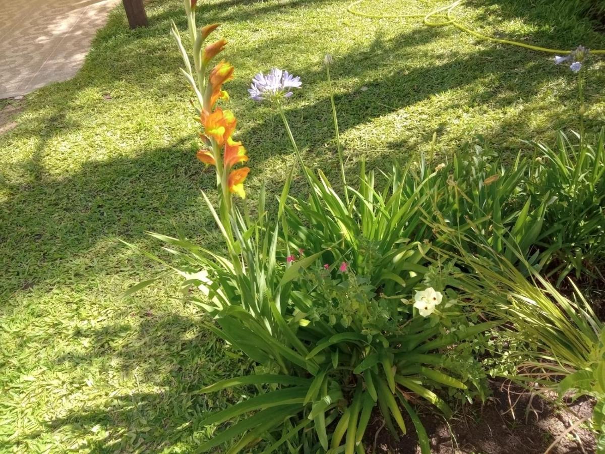 Raiz Del Cielo, Entre 2 Jardines De Ensueno Apartment *