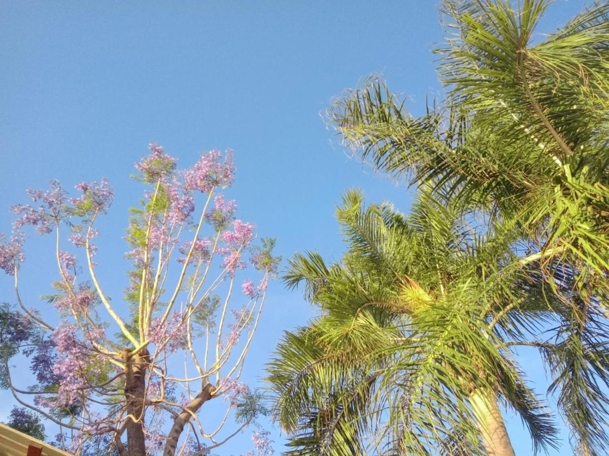 Raiz Del Cielo, Entre 2 Jardines De Ensueno Apartment *