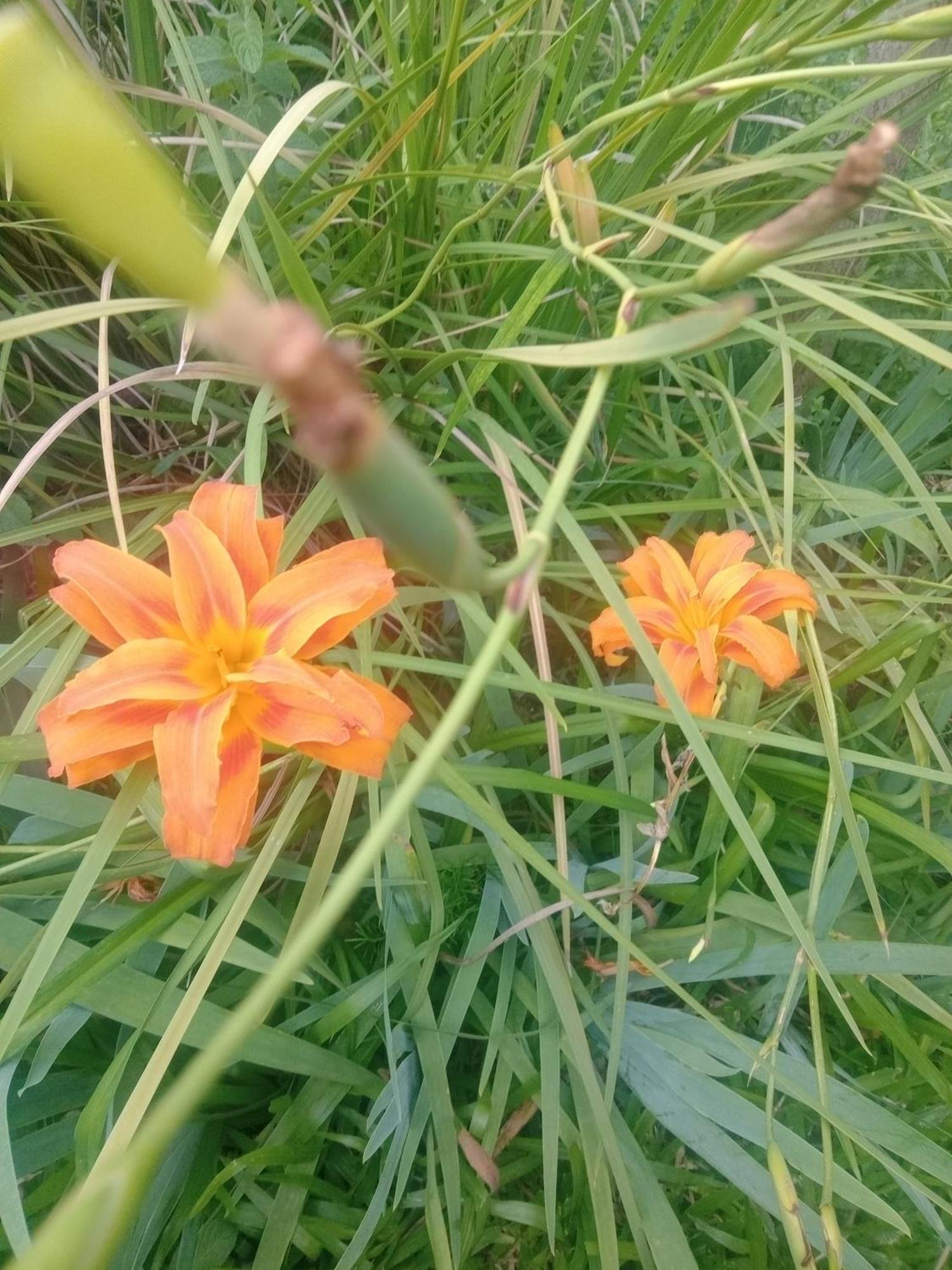 Raiz Del Cielo, Entre 2 Jardines De Ensueno Apartment Cordoba