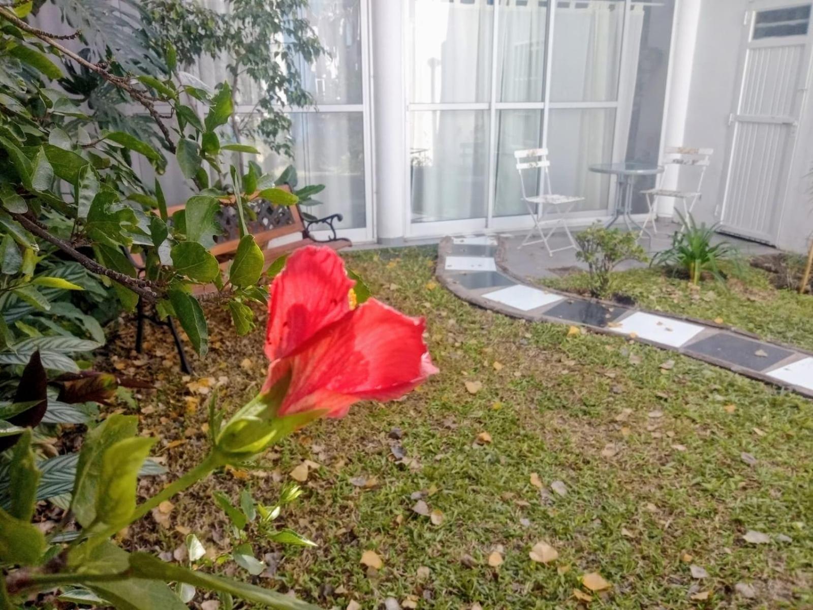 Raiz Del Cielo, Entre 2 Jardines De Ensueno Apartment *