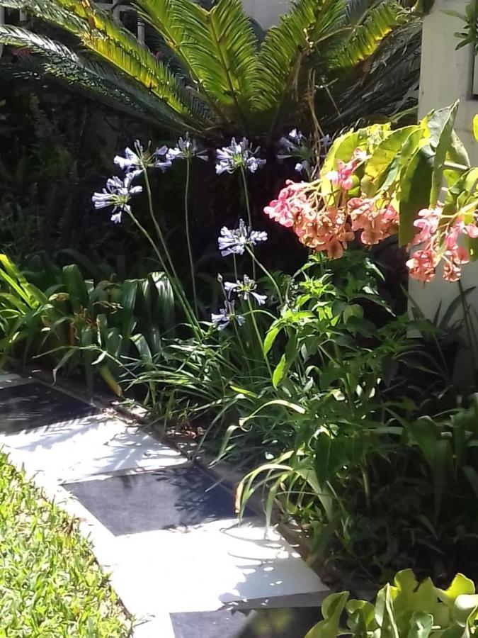 Apartment Raiz Del Cielo, Entre 2 Jardines De Ensueno